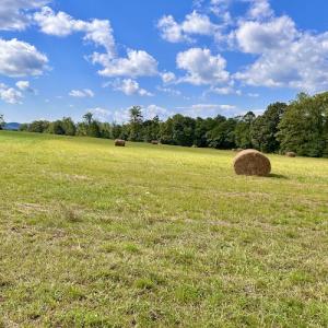 Photo #28 of SOLD property in Off Colonial Turnpike, Rocky Mount, VA 96.1 acres