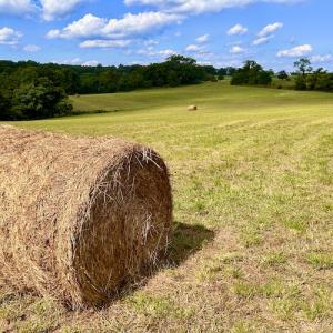 Photo #29 of SOLD property in Off Colonial Turnpike, Rocky Mount, VA 96.1 acres