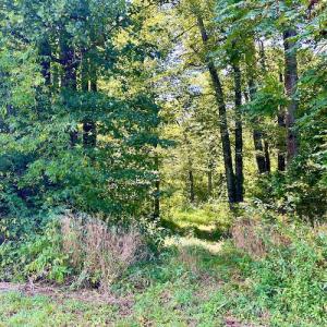 Photo #30 of SOLD property in Off Colonial Turnpike, Rocky Mount, VA 96.1 acres