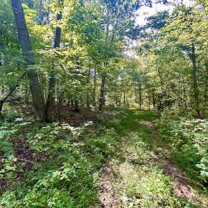 Photo #31 of SOLD property in Off Colonial Turnpike, Rocky Mount, VA 96.1 acres