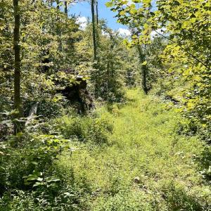 Photo #33 of SOLD property in Off Colonial Turnpike, Rocky Mount, VA 96.1 acres