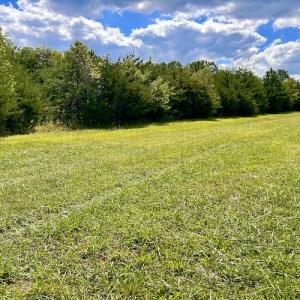 Photo #34 of SOLD property in Off Colonial Turnpike, Rocky Mount, VA 96.1 acres