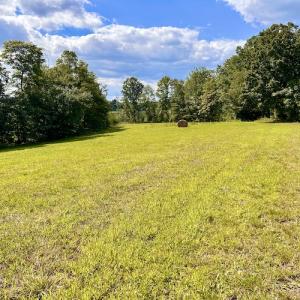 Photo #36 of SOLD property in Off Colonial Turnpike, Rocky Mount, VA 96.1 acres