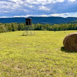Photo #37 of SOLD property in Off Colonial Turnpike, Rocky Mount, VA 96.1 acres