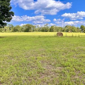 Photo #38 of SOLD property in Off Colonial Turnpike, Rocky Mount, VA 96.1 acres