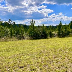 Photo #40 of SOLD property in Off Colonial Turnpike, Rocky Mount, VA 96.1 acres