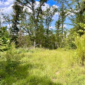 Photo #41 of SOLD property in Off Colonial Turnpike, Rocky Mount, VA 96.1 acres