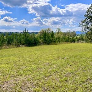 Photo #42 of SOLD property in Off Colonial Turnpike, Rocky Mount, VA 96.1 acres