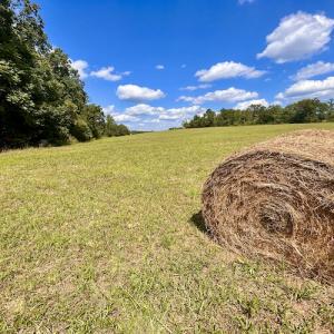 Photo #43 of SOLD property in Off Colonial Turnpike, Rocky Mount, VA 96.1 acres