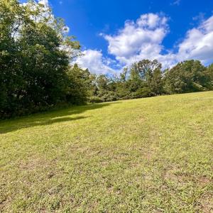 Photo #44 of SOLD property in Off Colonial Turnpike, Rocky Mount, VA 96.1 acres
