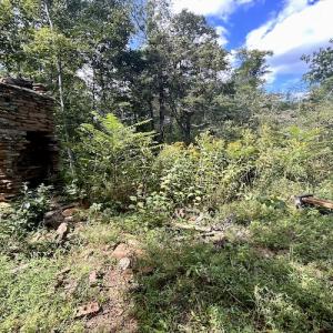 Photo #45 of SOLD property in Off Colonial Turnpike, Rocky Mount, VA 96.1 acres