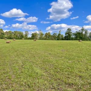 Photo #46 of SOLD property in Off Colonial Turnpike, Rocky Mount, VA 96.1 acres