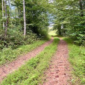 Photo #48 of SOLD property in Off Colonial Turnpike, Rocky Mount, VA 96.1 acres