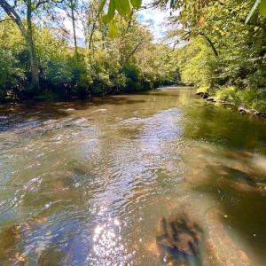Photo #50 of SOLD property in Off Colonial Turnpike, Rocky Mount, VA 96.1 acres