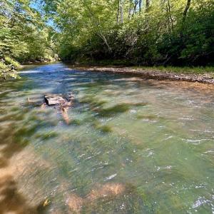 Photo #51 of SOLD property in Off Colonial Turnpike, Rocky Mount, VA 96.1 acres