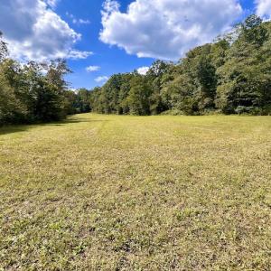 Photo #52 of SOLD property in Off Colonial Turnpike, Rocky Mount, VA 96.1 acres