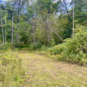 Photo #55 of SOLD property in Off Colonial Turnpike, Rocky Mount, VA 96.1 acres