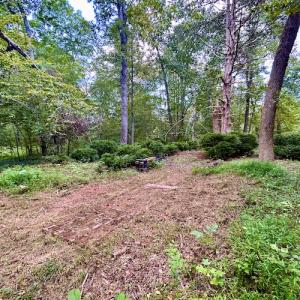 Photo #57 of SOLD property in Off Colonial Turnpike, Rocky Mount, VA 96.1 acres