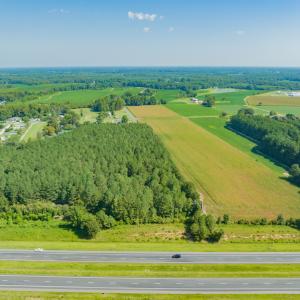 Photo #10 of SOLD property in Off Strickland Road , Walstonburg, NC 5.9 acres