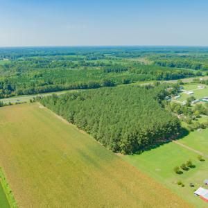 Photo #13 of SOLD property in Off Strickland Road , Walstonburg, NC 5.9 acres