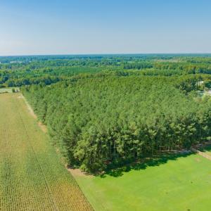 Photo #14 of SOLD property in Off Strickland Road , Walstonburg, NC 5.9 acres