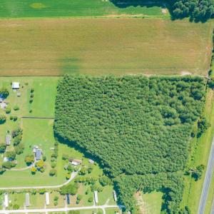 Photo #17 of SOLD property in Off Strickland Road , Walstonburg, NC 5.9 acres