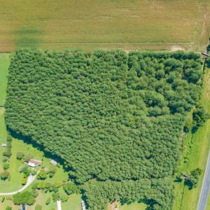 Photo #18 of SOLD property in Off Strickland Road , Walstonburg, NC 5.9 acres