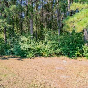 Photo #23 of SOLD property in Off Strickland Road , Walstonburg, NC 5.9 acres