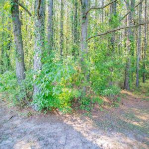 Photo #25 of SOLD property in Off Strickland Road , Walstonburg, NC 5.9 acres
