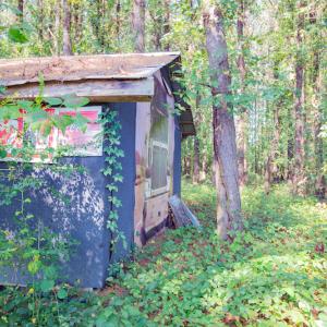 Photo #27 of SOLD property in Off Strickland Road , Walstonburg, NC 5.9 acres