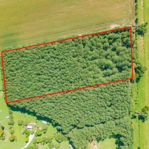Photo #2 of SOLD property in Off Strickland Road , Walstonburg, NC 5.9 acres
