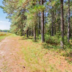 Photo #29 of SOLD property in Off Strickland Road , Walstonburg, NC 5.9 acres