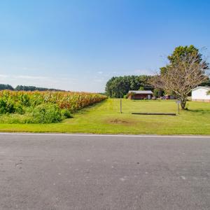 Photo #30 of SOLD property in Off Strickland Road , Walstonburg, NC 5.9 acres