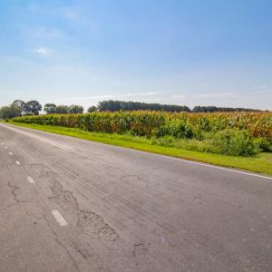 Photo #31 of SOLD property in Off Strickland Road , Walstonburg, NC 5.9 acres