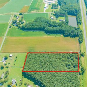 Photo #3 of SOLD property in Off Strickland Road , Walstonburg, NC 5.9 acres
