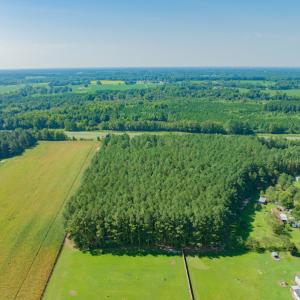 Photo #4 of SOLD property in Off Strickland Road , Walstonburg, NC 5.9 acres