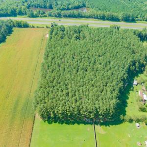 Photo #5 of SOLD property in Off Strickland Road , Walstonburg, NC 5.9 acres