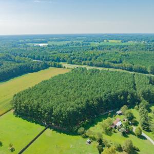 Photo #6 of SOLD property in Off Strickland Road , Walstonburg, NC 5.9 acres