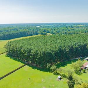 Photo #7 of SOLD property in Off Strickland Road , Walstonburg, NC 5.9 acres