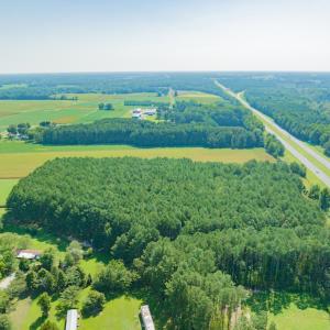 Photo #8 of SOLD property in Off Strickland Road , Walstonburg, NC 5.9 acres