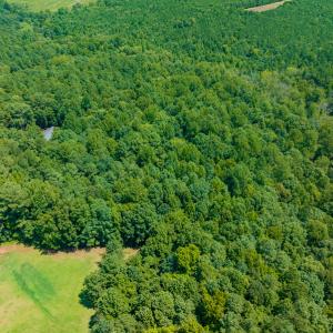 Photo #8 of SOLD property in Off Indian Drive, Norlina, NC 3.1 acres