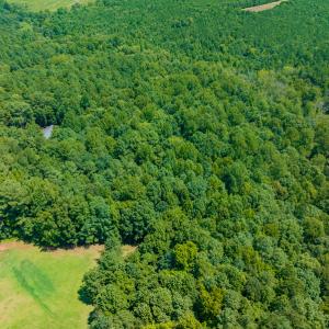 Photo #8 of Off Indian Drive, Norlina, NC 3.1 acres