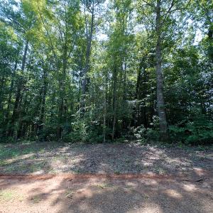 Photo #9 of SOLD property in Off Indian Drive, Norlina, NC 3.1 acres