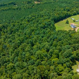 Photo #17 of SOLD property in Off Indian Drive, Norlina, NC 3.1 acres