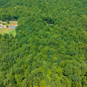 Photo #27 of SOLD property in Off Indian Drive, Norlina, NC 3.1 acres
