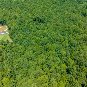 Photo #34 of SOLD property in Off Indian Drive, Norlina, NC 3.1 acres