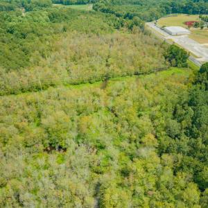 Photo #10 of Off Buck Swamp Road, Pikeville, NC 30.5 acres
