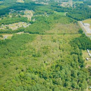 Photo #6 of Off Buck Swamp Road, Pikeville, NC 30.5 acres