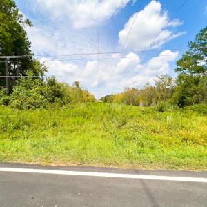 Photo #22 of Off Buck Swamp Road, Pikeville, NC 30.5 acres