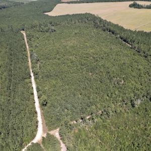 Photo #11 of SOLD property in Off Maxwell Road ,  Stedman, NC 60.0 acres